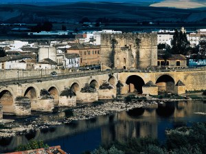 552417e1f943534e168a5e05_4-cordoba-bridge-dea-c-sappa-getty