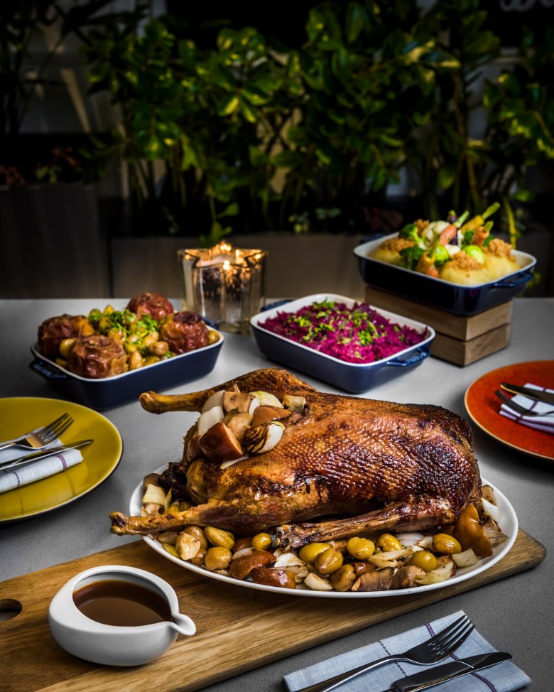 bfc34cc6e204f66d_org